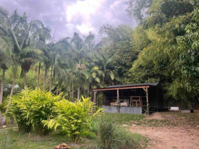 Whispering Palms, Luxury Tiny Home
